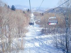 -亚布力新体委滑雪场