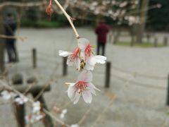 -热田神宫