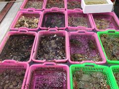 -众味海鲜大排档·活海鲜·潮汕味(南澳店)