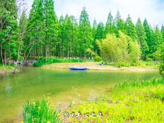 -黄海国家森林公园