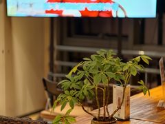 -正安中医(广渠店)