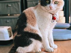 -CENCHI 汵奇咖啡(东四店)