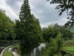 -藏龙百瀑风景区