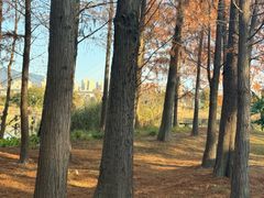 -福州中庚聚龍酒店香汇自助餐厅(南江滨西大道店)