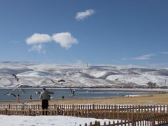 -青海湖国家重点风景名胜区