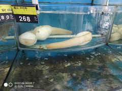 -渔中舟海鲜大排档(普陀沈家门店)