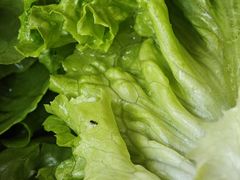 -乌记鲜活牛肉城(金砂东路店)