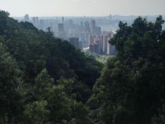 -南山植物园