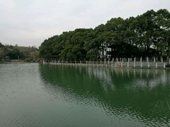 -白马涧龙池景区