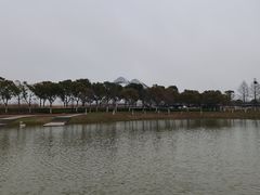 -春花秋色城市公园