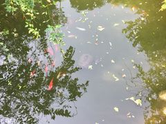 -杭州西湖风景名胜区-三生石