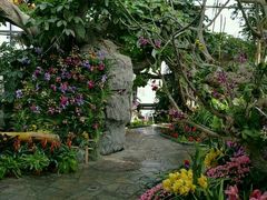 -北京植物园-展览温室