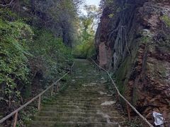 -天女山森林公园