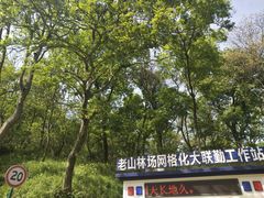 -南京老山国家森林公园