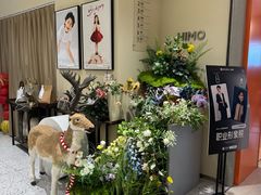 -海马体照相馆(佛山岭南站店)