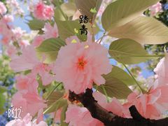 -昆山城市生态森林公园