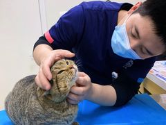 -美联众合动物医院·24h京西诊疗中心