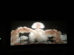 -CGV影城(梅江ScreenX店)