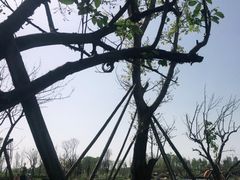 -白鹭湾湿地公园