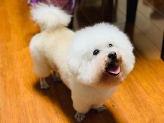 -爱侣宠医·鹦鹉专科·小型哺乳类·异宠专科(灵石路店)