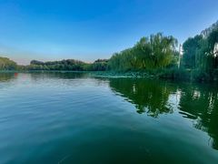 -WhaleSports户外水上运动俱乐部(朝阳公园店)