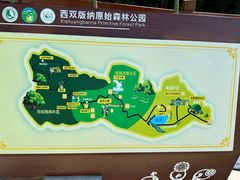 -西双版纳原始森林公园