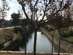 -羊山湖公园