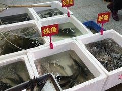 -西北农副产品中心批发市场(广安路店)
