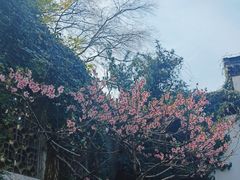 -南京市民俗博物馆(甘熙故居)