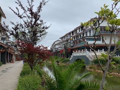 后门-乙丙丁正宗昭通天麻火腿鸡(总店)