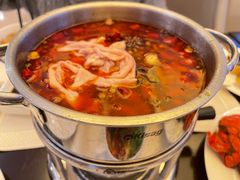 -百香自助餐厅·西安唐隆国际酒店(曲江店)