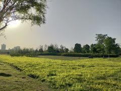 -汉长安城未央宫国家考古遗址公园