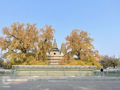 -北京石刻艺术博物馆(五塔寺)
