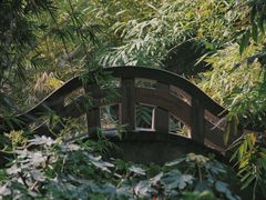 -望江楼公园