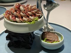 -铂米星座(瑞安店)