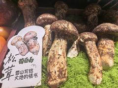-菌自由丨野生菌火锅特色庭院餐厅(丽江古城店)