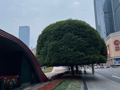 -盖碗儿梨园·变脸吐火·川剧(天府广场店)