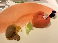 -蝶舍·MAISON PAPILLON