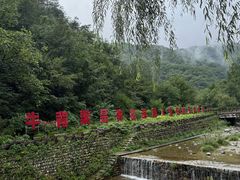 -牛背梁国家森林公园