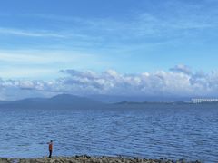 -深圳湾公园(南山区)
