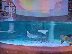 -沈阳海洋探索中心