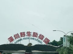 -深圳野生动物园
