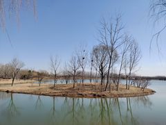 -东郊湿地公园