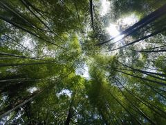 -同里国家湿地公园