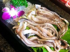 冰鲜八爪鱼-蜀味川香火锅
