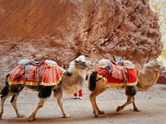 -天山神秘大峡谷