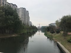 -新江湾城公园