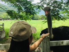 -瑞穗牧场