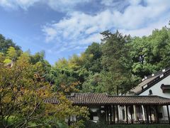 -杭州黄龙洞