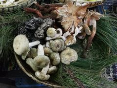 -昆虫窝子·特色云南菜(拓东路总店)